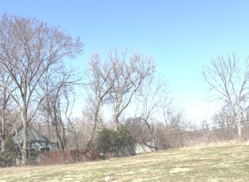 LOT 8 W PLUM Street, McHenry, IL