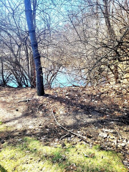 5524 E Lake Drive #84C, Lisle, IL