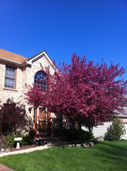 113 Woodlet Lane, Bolingbrook, IL