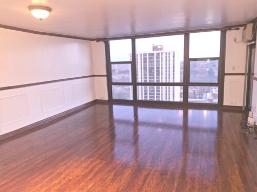 2605 S Indiana Avenue #1909, Chicago, IL