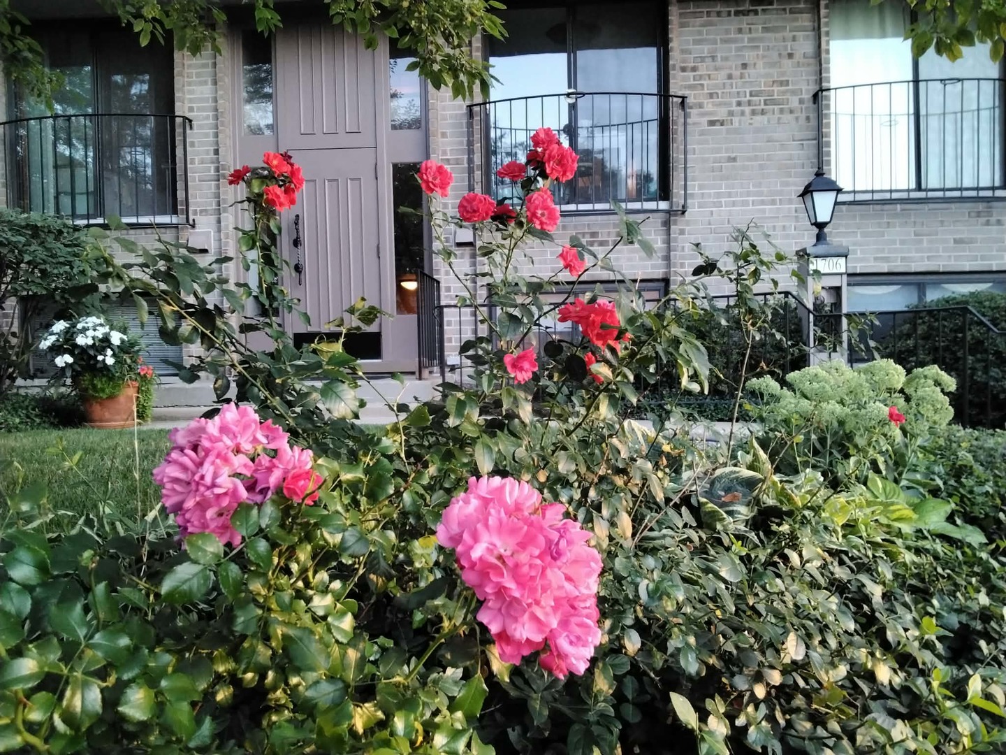 1706 Northfield Square #D, Northfield, IL