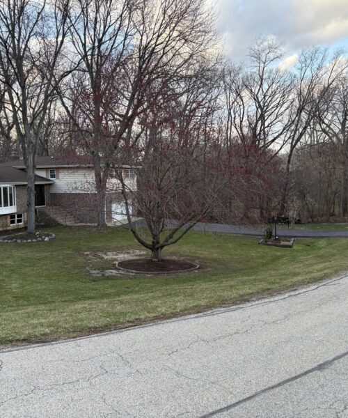 1209 Appaloosa Trail, McHenry, IL