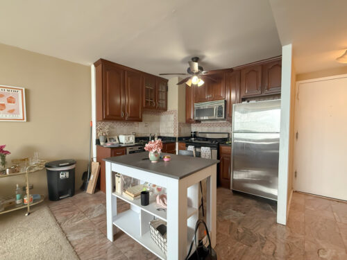 1150 N Lake Shore Drive #7B, Chicago, IL