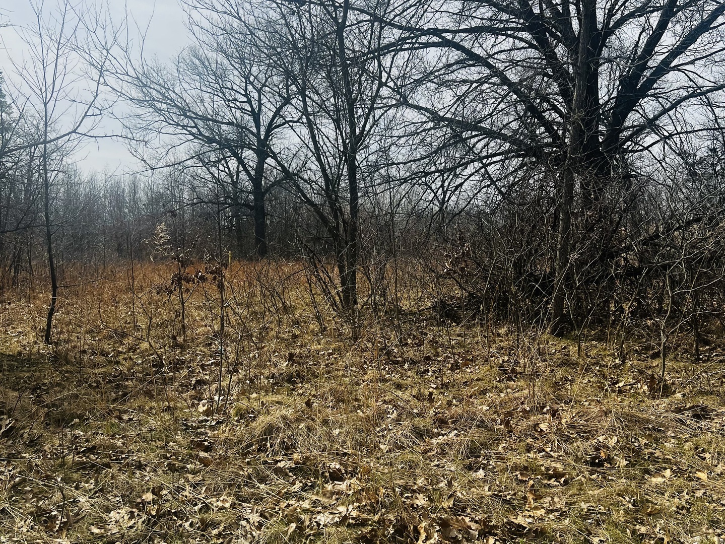 2240 S 15000 Road, Pembroke Twp, IL