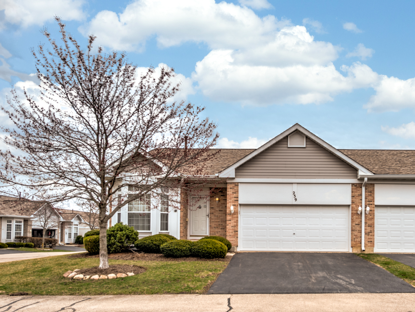 259 Firenze Drive, Cary, IL
