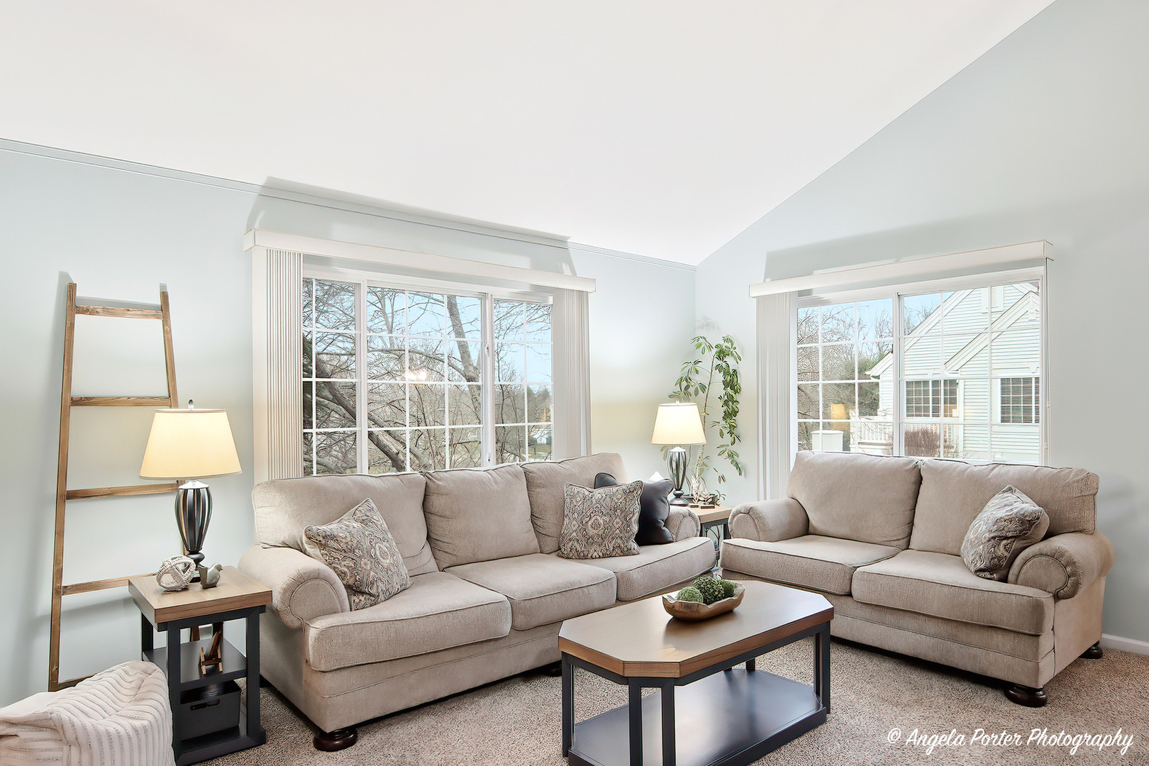 324 New Haven Drive #324, Cary, IL