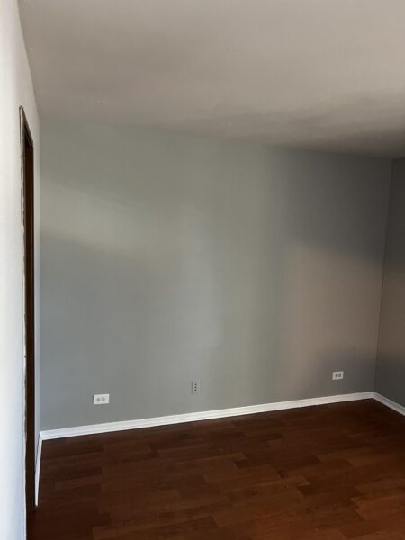 1205 Wyndham Court #202, Palatine, IL