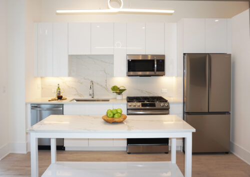 812 W Adams Street #509, Chicago, IL