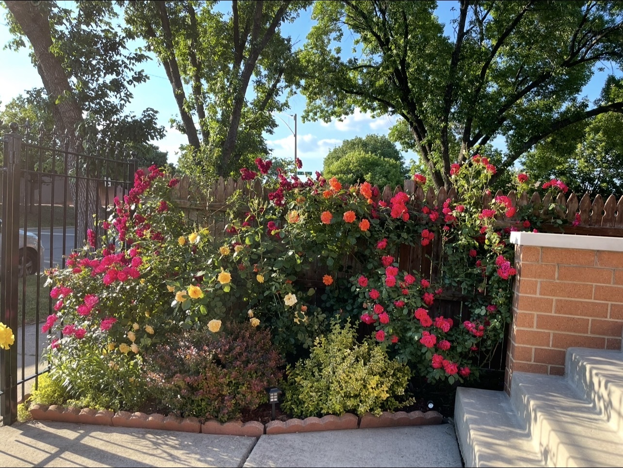 4505 S Drake Avenue, Chicago, IL