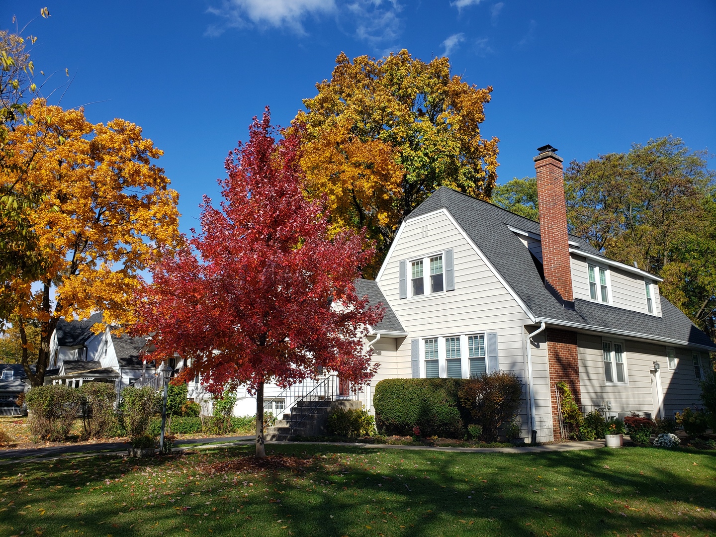 5433 BROOKBANK Road, Downers Grove, IL