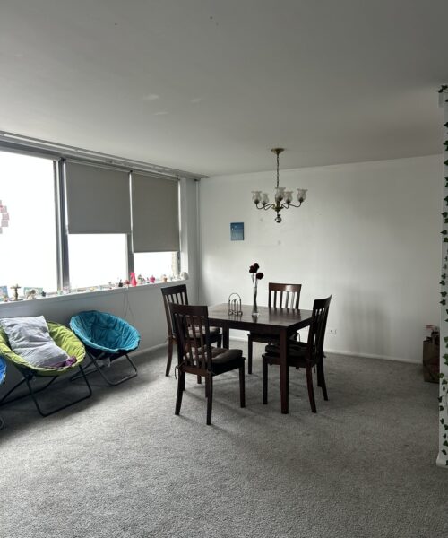 6301 N Sheridan Road #6O, Chicago, IL