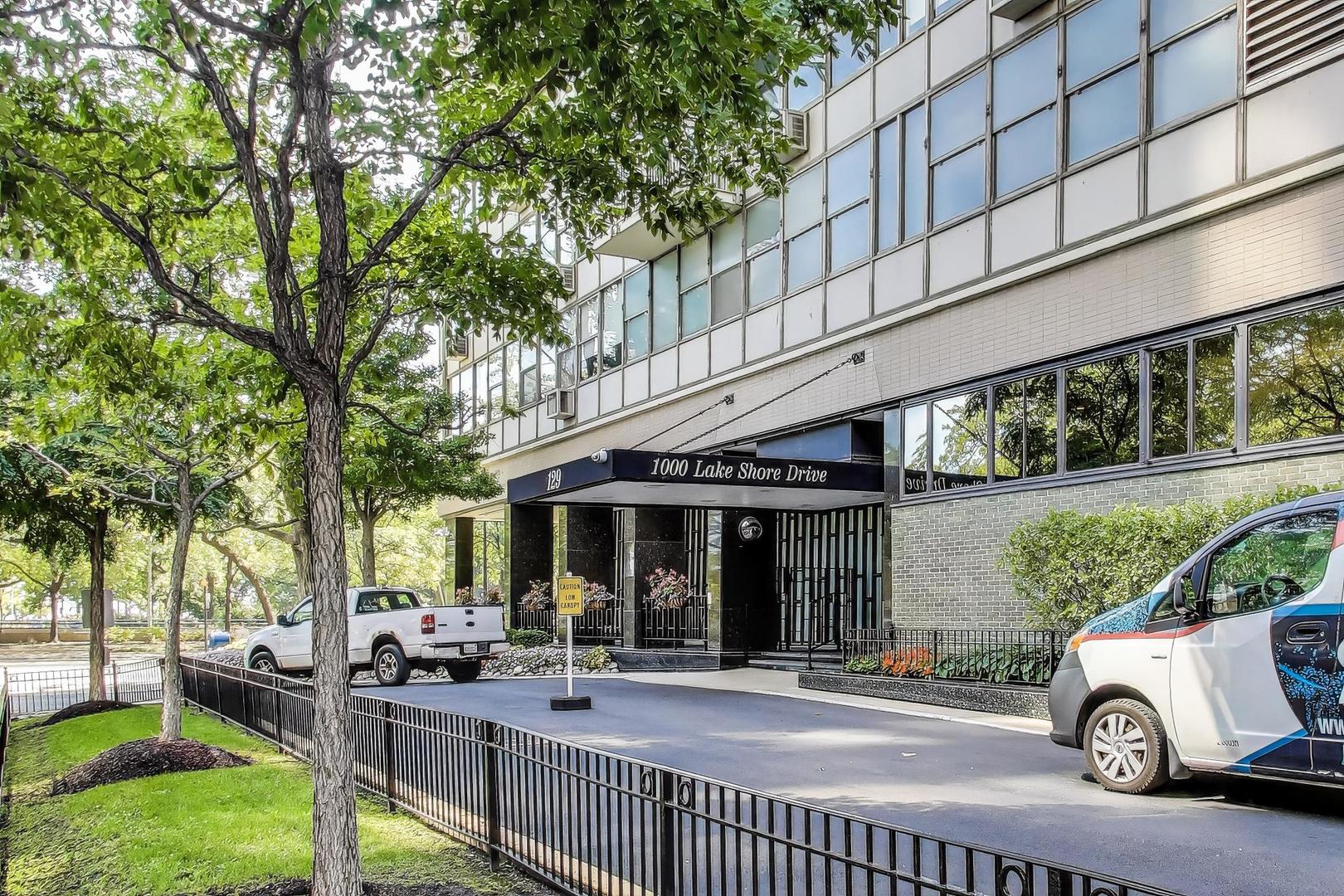 1000 N Lake Shore Drive #2009, Chicago, IL