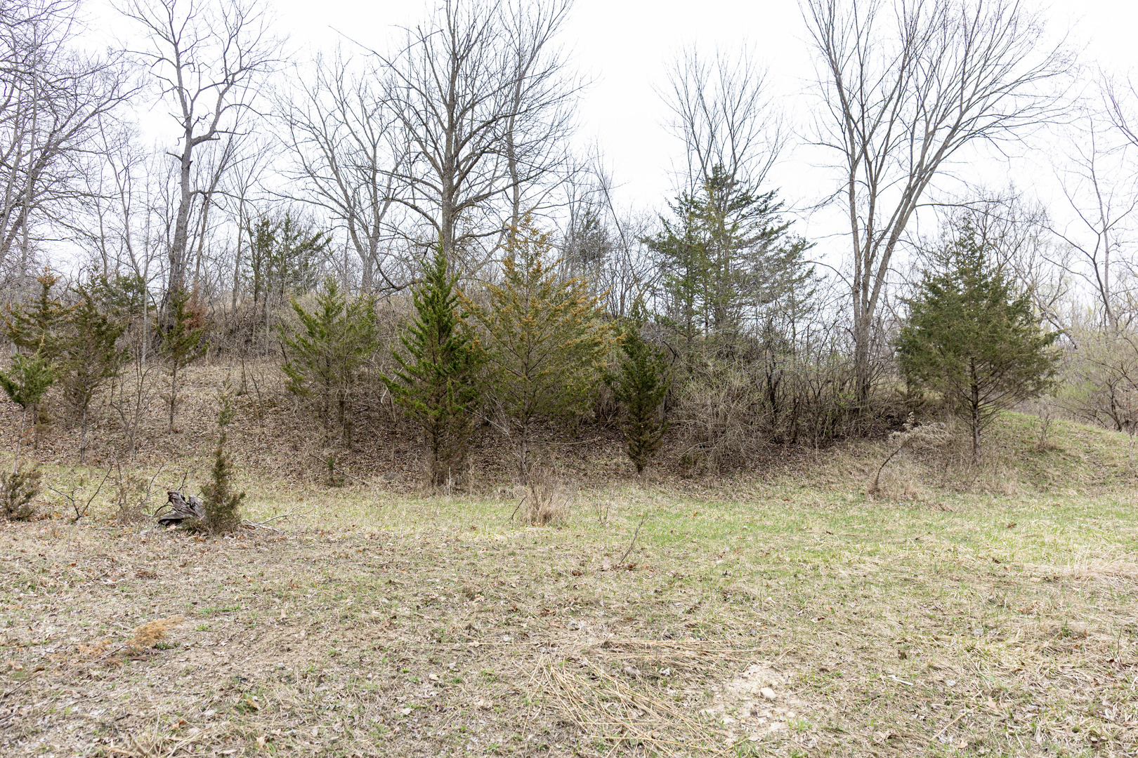 LOT 19 & LOT 18 Williams Road, Lake Marian, IL