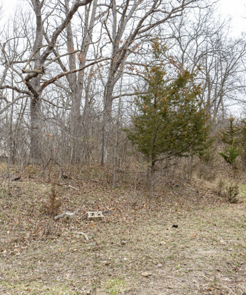 LOT 19 & LOT 18 Williams Road, Lake Marian, IL