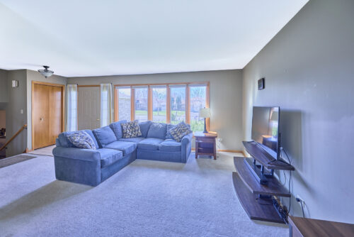 16447 Timberview Drive, Plainfield, IL