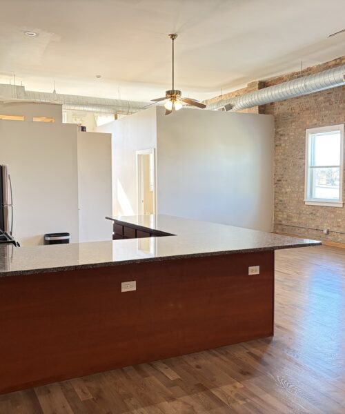 2727 S Archer Avenue #2, Chicago, IL