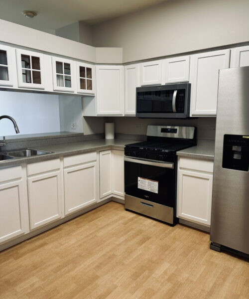 709 Blossom Court #709, Naperville, IL