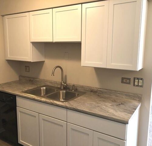 905 CASEY Court #6, Schaumburg, IL