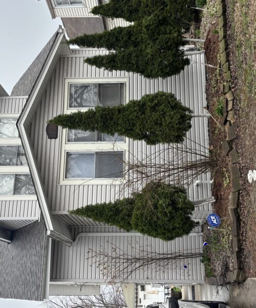 2726 S 60th Court, Cicero, IL