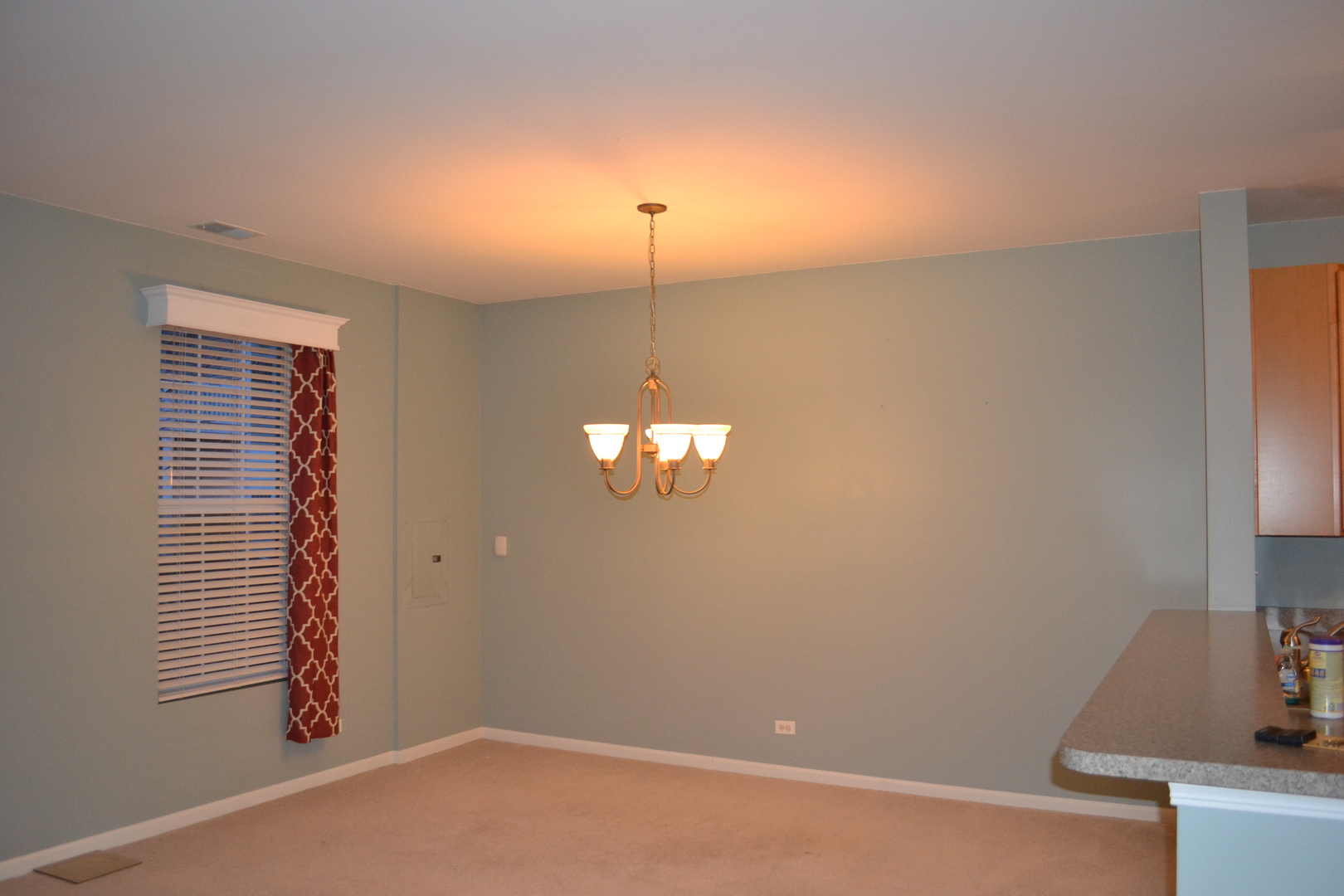 161 Springbrook Trail, Oswego, IL