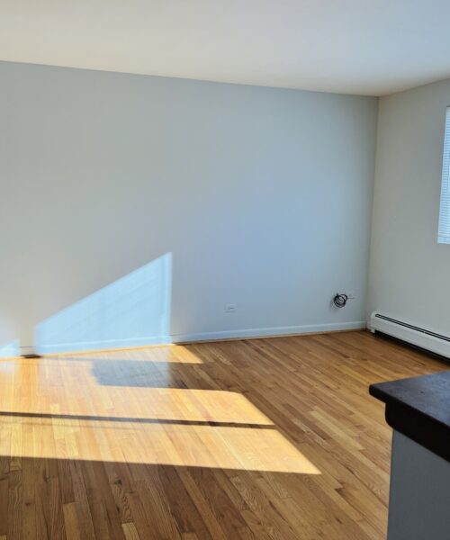 10376 Michael Todd Terrace #G, Glenview, IL