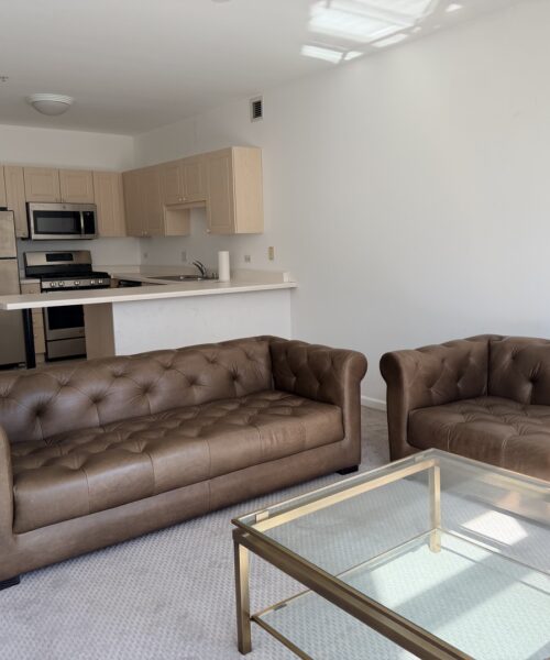 21 W CHESTNUT Street #1708, Chicago, IL