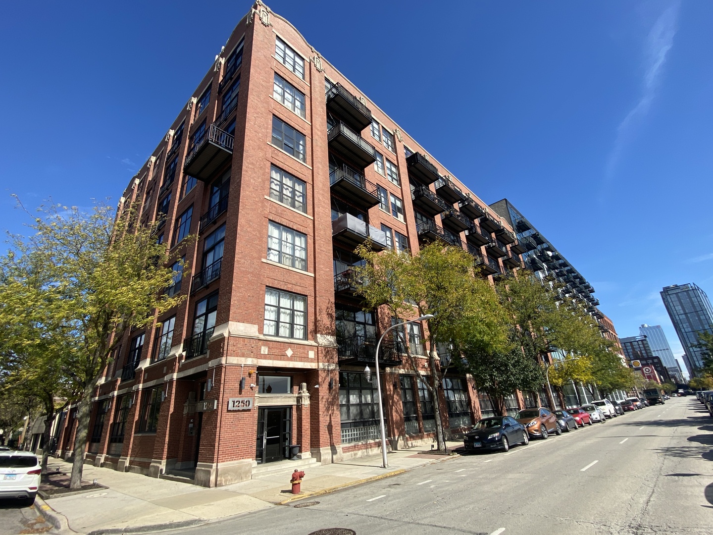 1250 W Van Buren Street #208, Chicago, IL