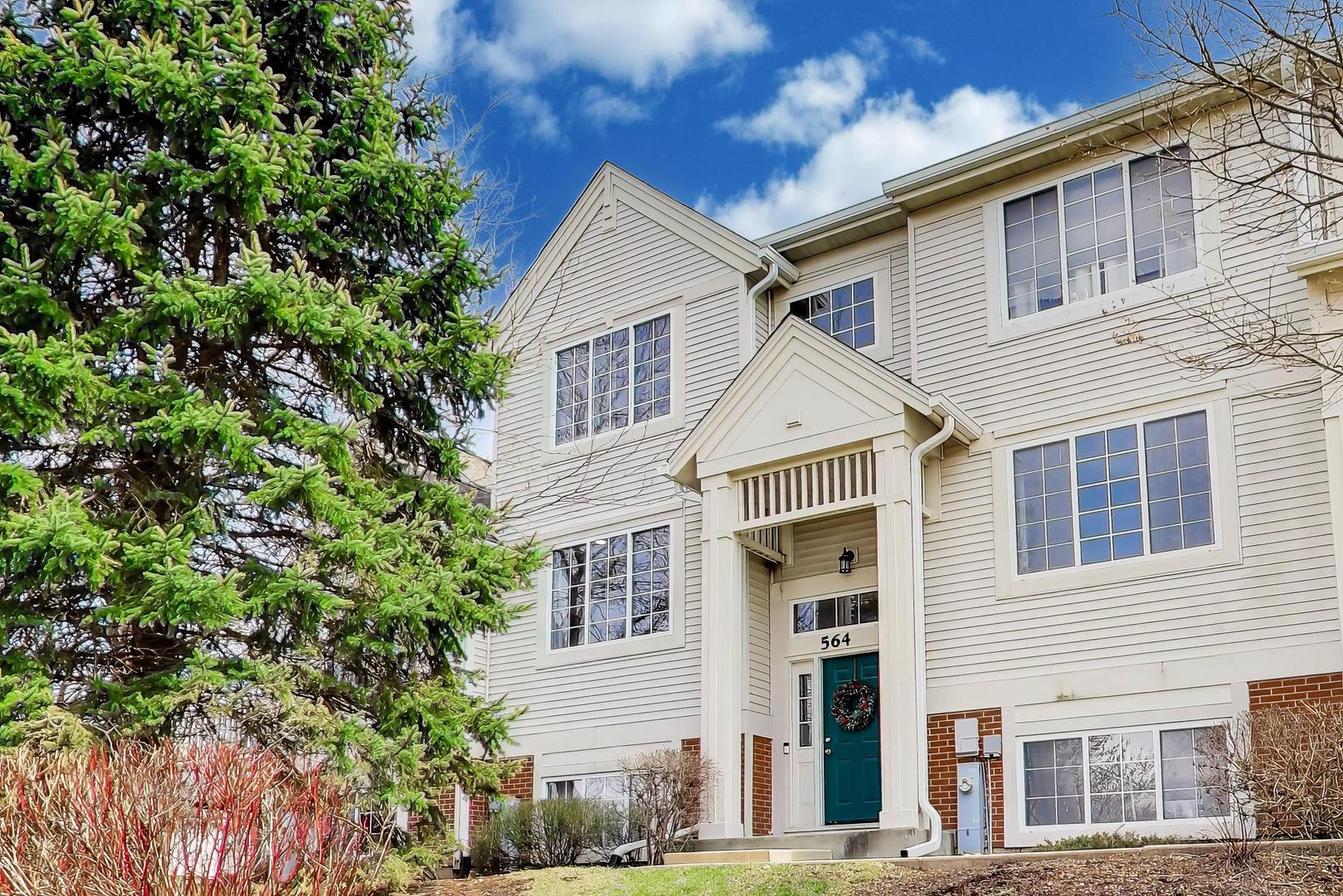 564 S Rosehall Lane #-, Round Lake, IL