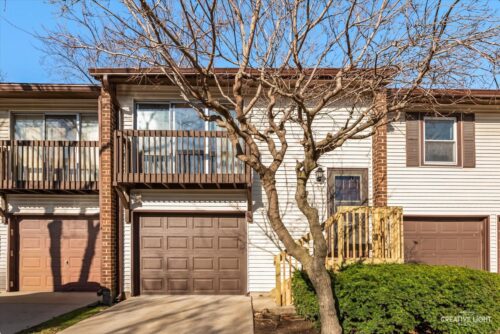 281 OLD ELM Drive, Bolingbrook, IL