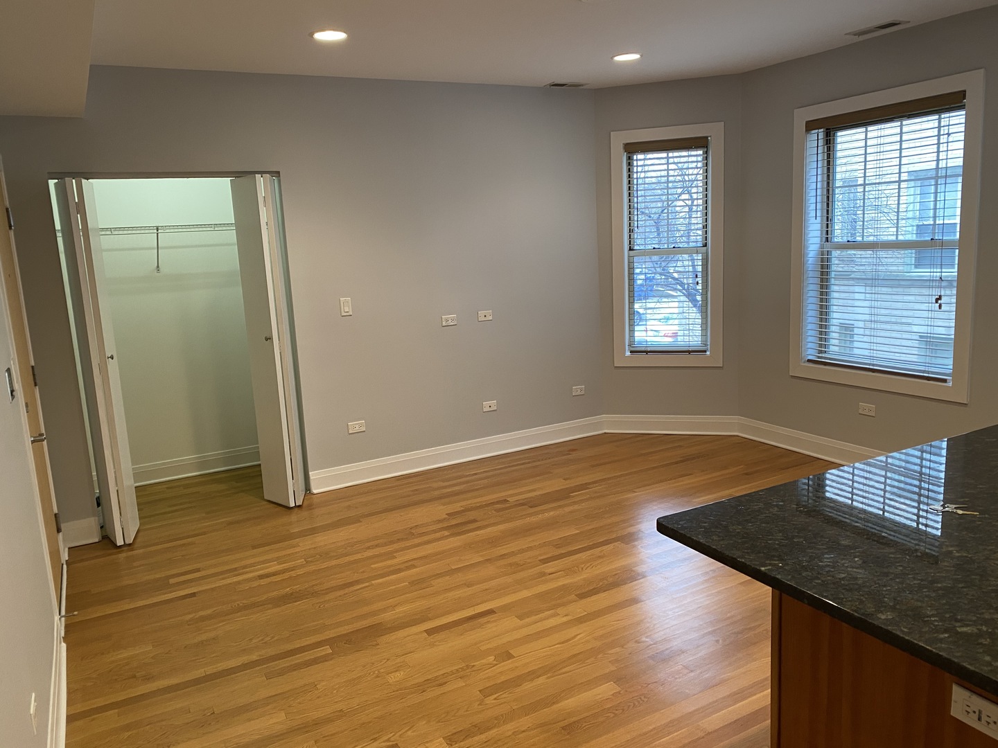 1446 W Thorndale Avenue #3N, Chicago, IL