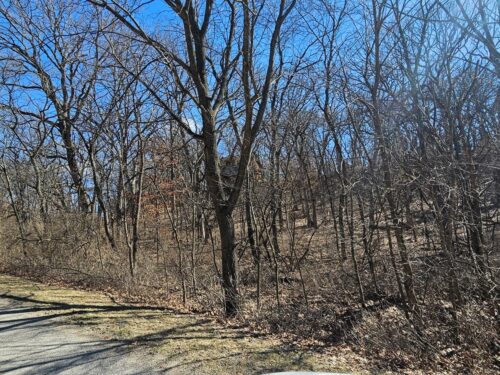 1302 Beech Lane, Dixon, IL