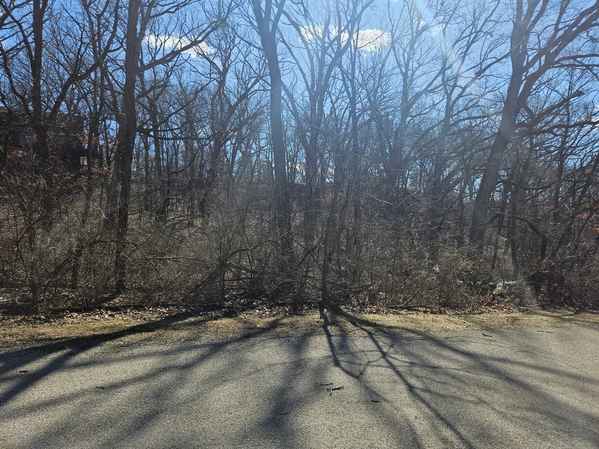 1302 Beech Lane, Dixon, IL