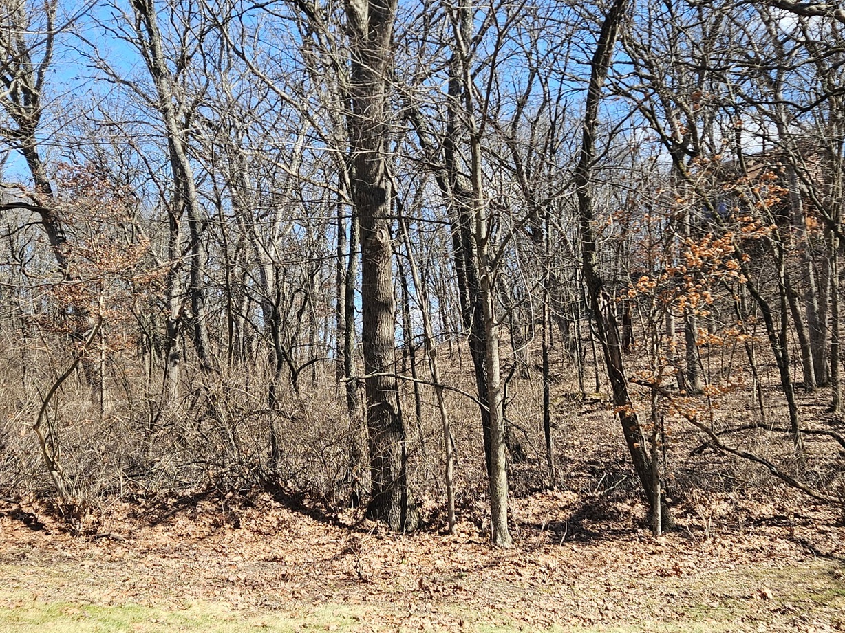 1302 Beech Lane, Dixon, IL