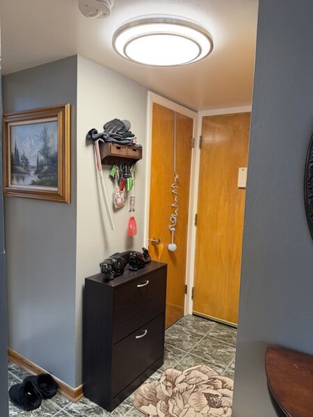 100 Deborah Lane #A19, Wheeling, IL