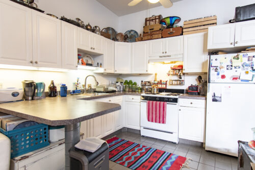 537 Custer Avenue #1, Evanston, IL