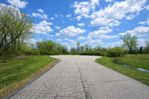 24732 S Murphy Lane, Monee, IL