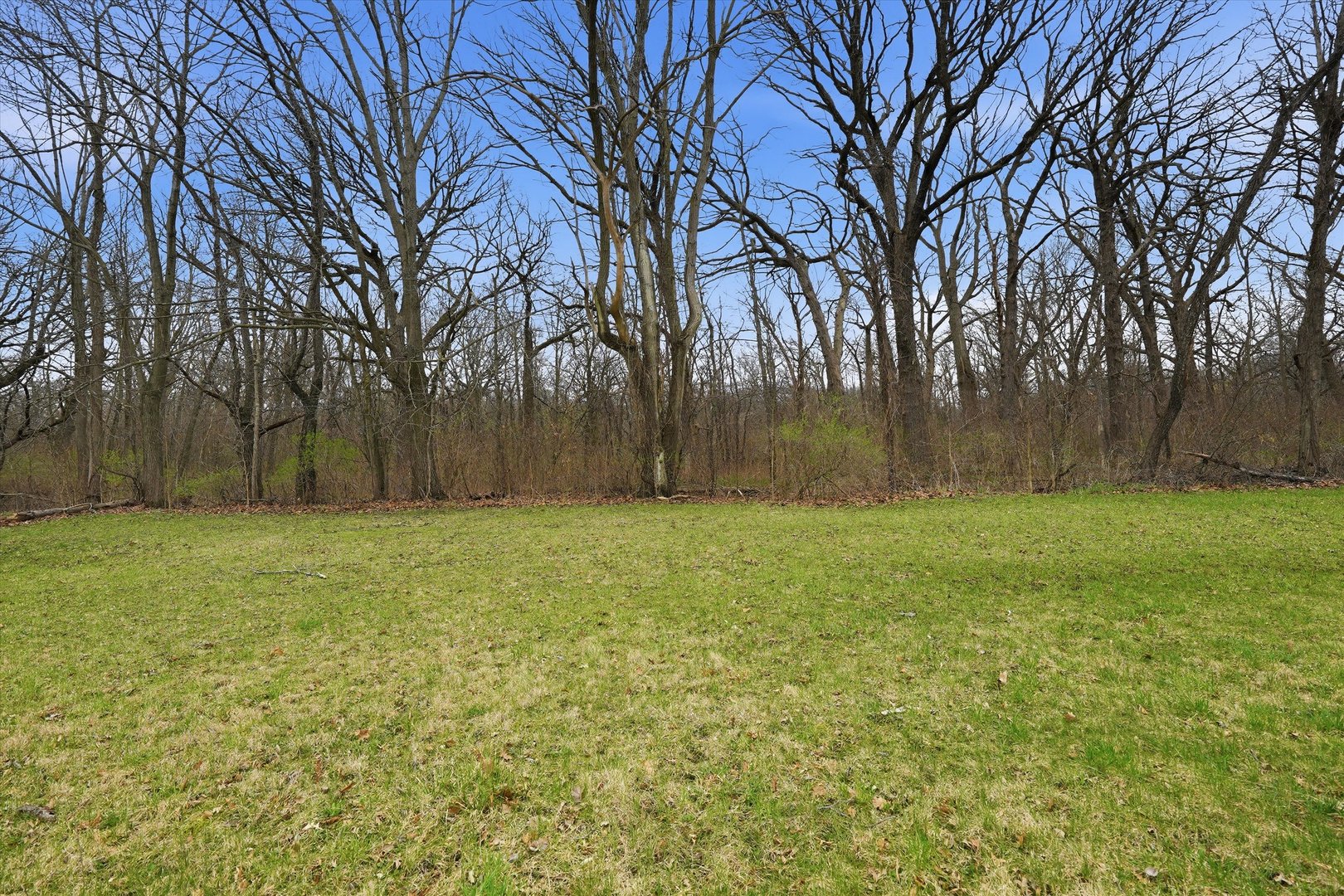 5525 Heatherbrook Trail, Monee, IL