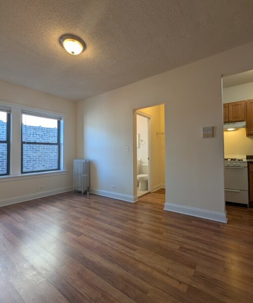 1742 N Humboldt Boulevard #410, Chicago, IL