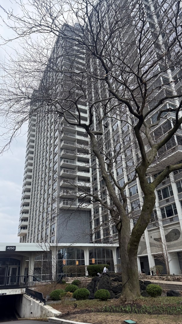 4250 N Marine Drive #2827, Chicago, IL