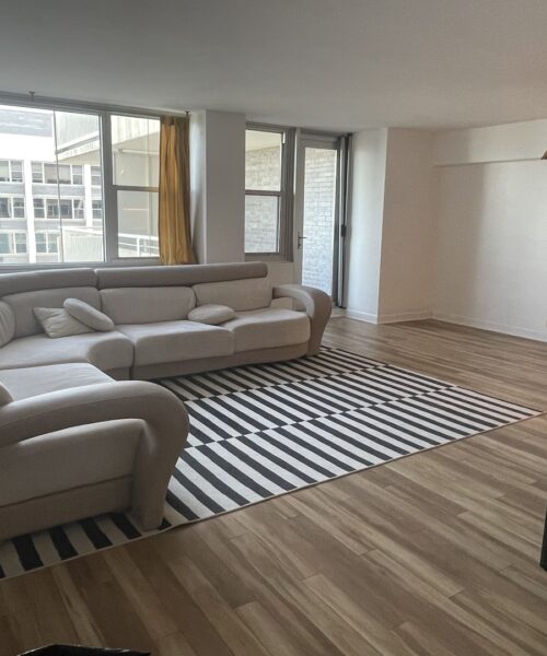 4250 N Marine Drive #2827, Chicago, IL