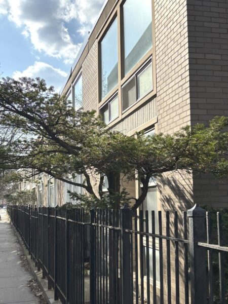 1428 E 55th Street, Chicago, IL