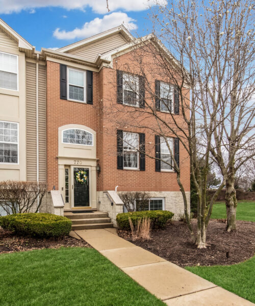 770 Lambert Lane #96-6, Bartlett, IL