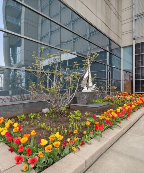 600 N Lake Shore Drive #2709, Chicago, IL