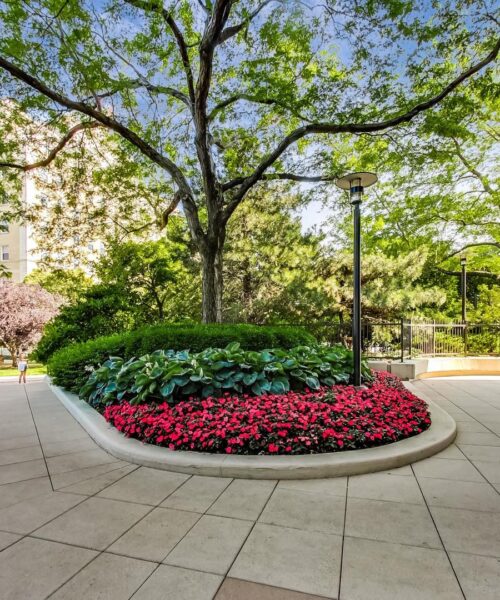 1960 N Lincoln Park West Avenue #408, Chicago, IL