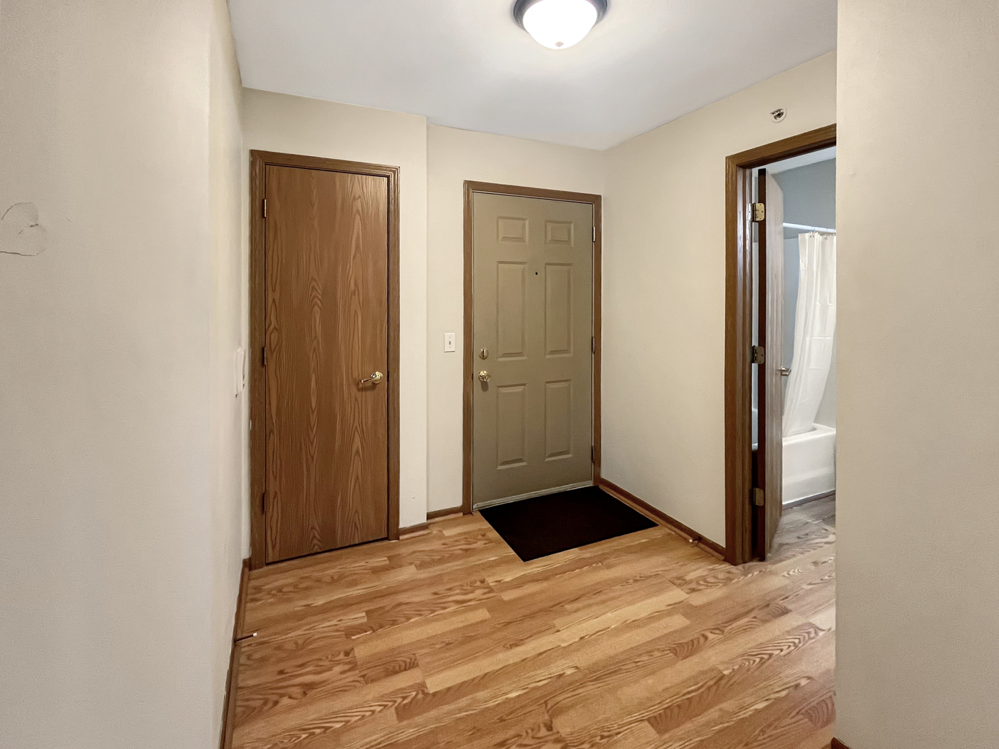 1524 W Sand Bar Court #2C, Round Lake, IL