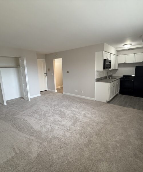 3001 Thatcher Avenue #5O, River Grove, IL