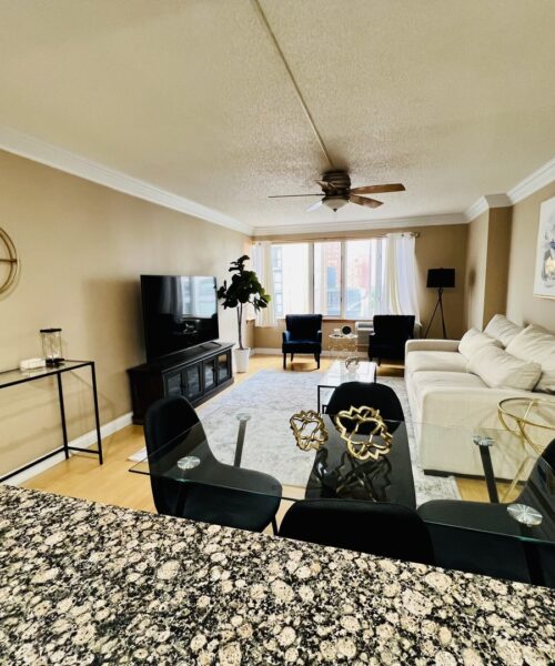 801 S Plymouth Court #805, Chicago, IL