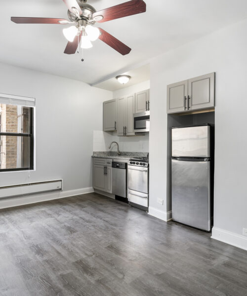 4555 N Malden Street #218, Chicago, IL