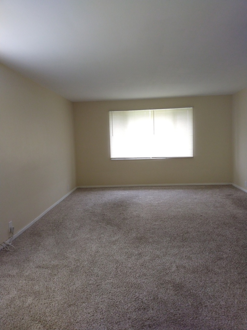 3484 Western Avenue #3484-B, Park Forest, IL