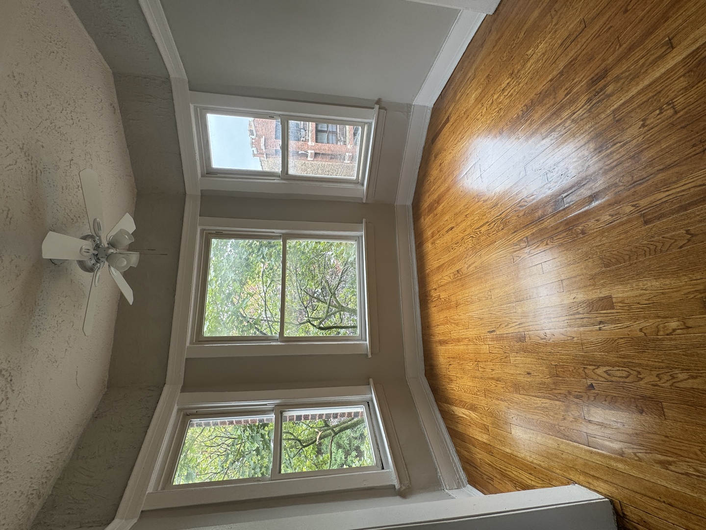 6572 N Lakewood Avenue #3, Chicago, IL